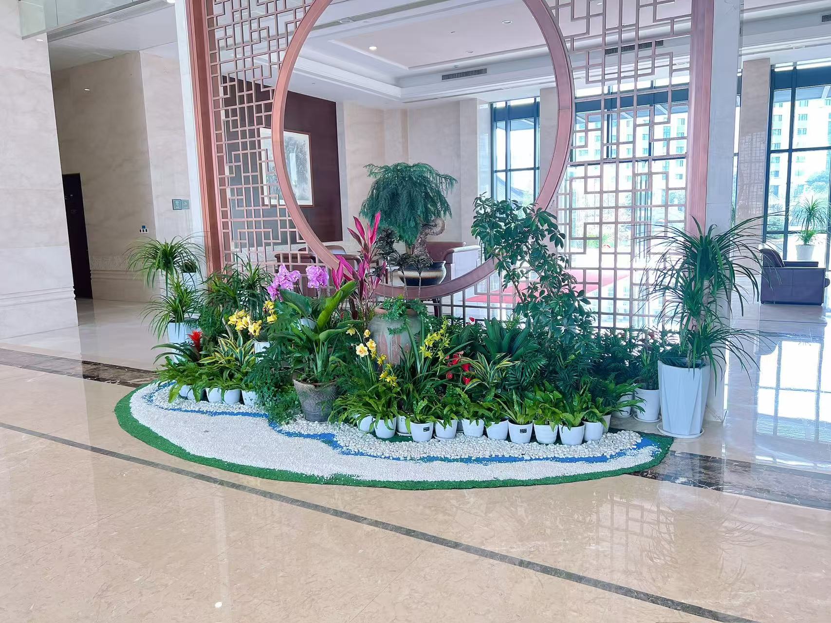 租摆北仑花卉，优质服务，打造别样的花卉装饰空间！